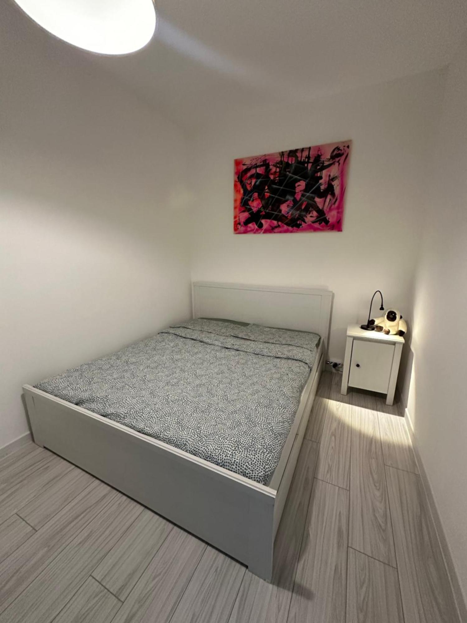 B&B Luna Rosa ピサ エクステリア 写真